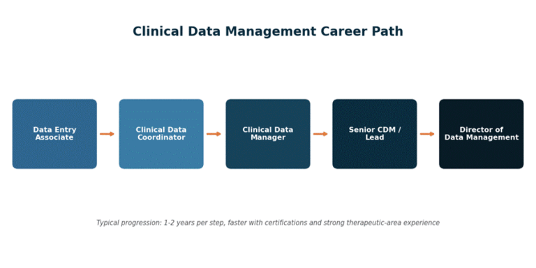 A typical clinical data management career path, from entry-level roles to director-level positions.