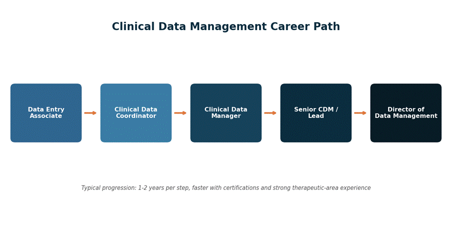A typical clinical data management career path, from entry-level roles to director-level positions.