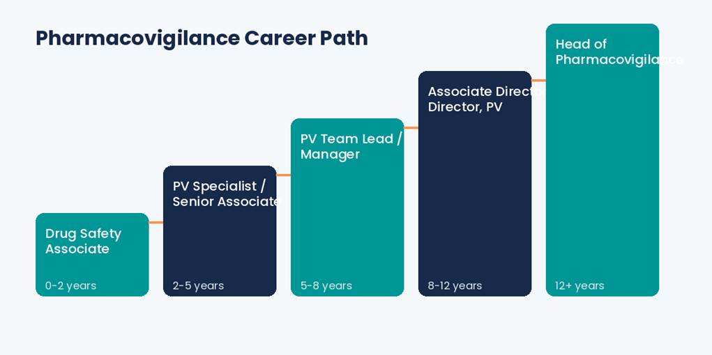 Pharmacovigilance Career Guide: How to Build a Strong Career in Drug Safety