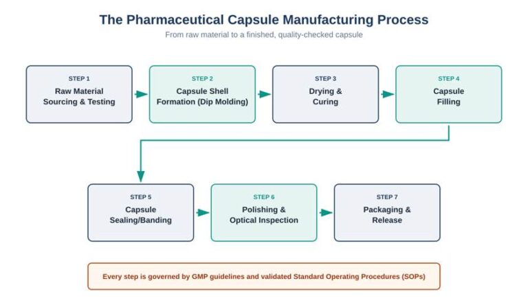 Seven-step pharmaceutical capsule manufacturing process flow diagram