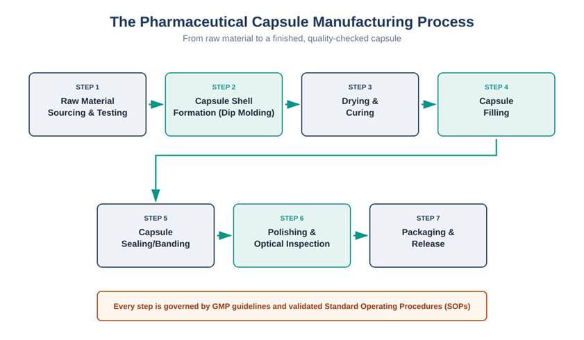 Seven-step pharmaceutical capsule manufacturing process flow diagram