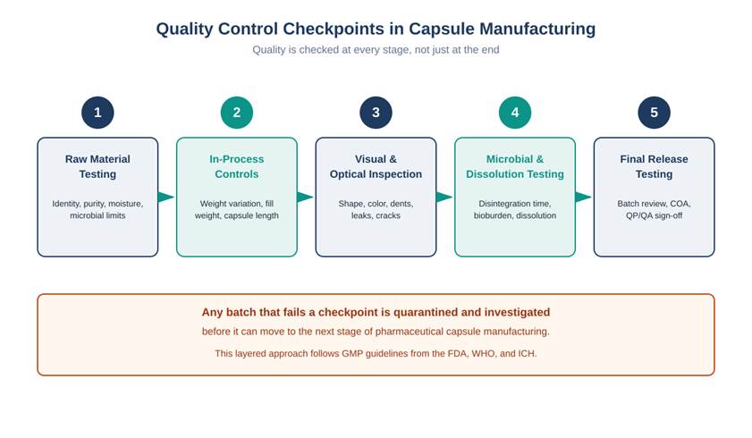Pharmaceutical Capsule Manufacturing: Process, Equipment, and Quality Control