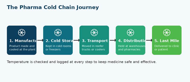 Cold Chain in Pharmaceutical Industry: A Complete Guide