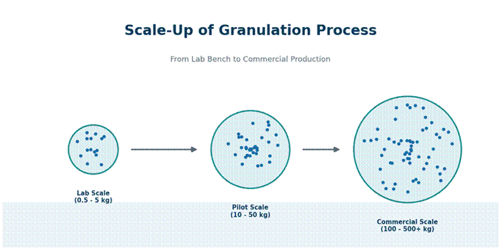 Diagram showing granulation scale-up from lab to pilot to commercial scale