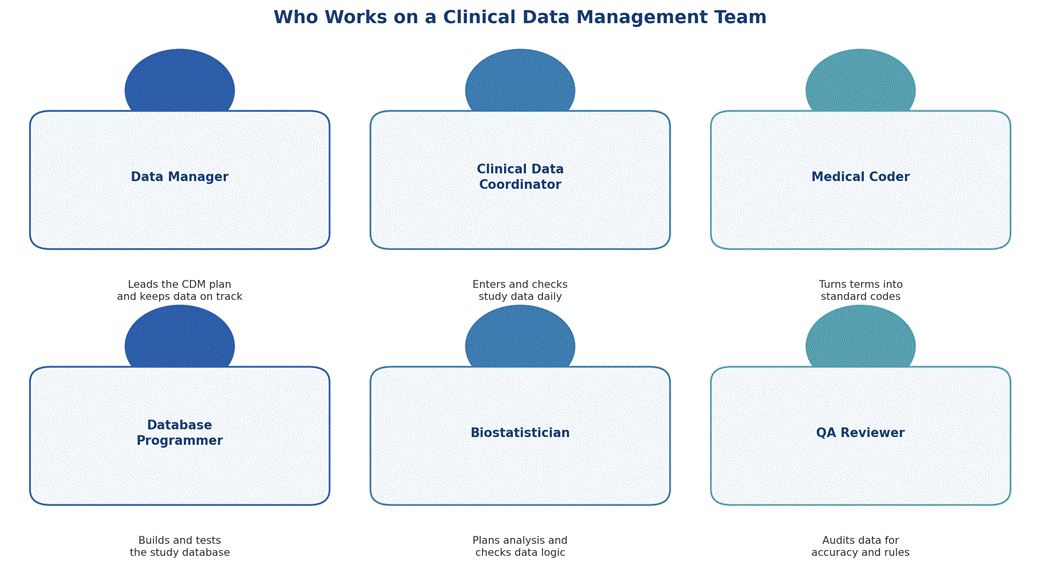 Common roles on a clinical data management team