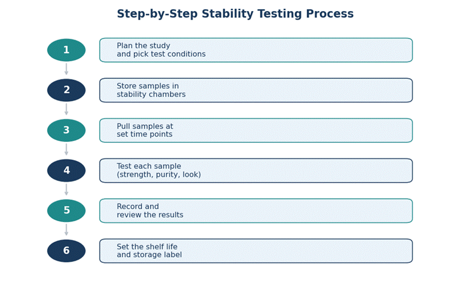 A simple overview of the stability testing workflow
