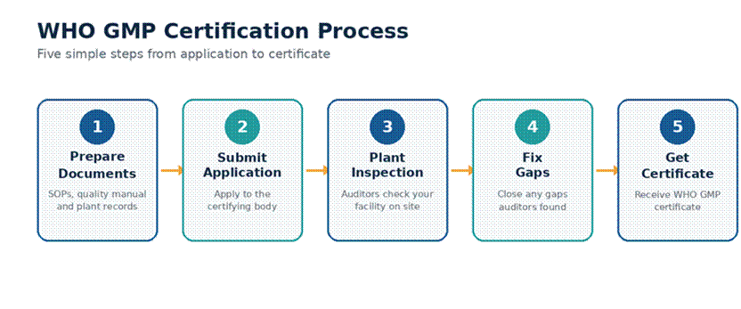 WHO GMP Certification for Pharma: Complete Guide